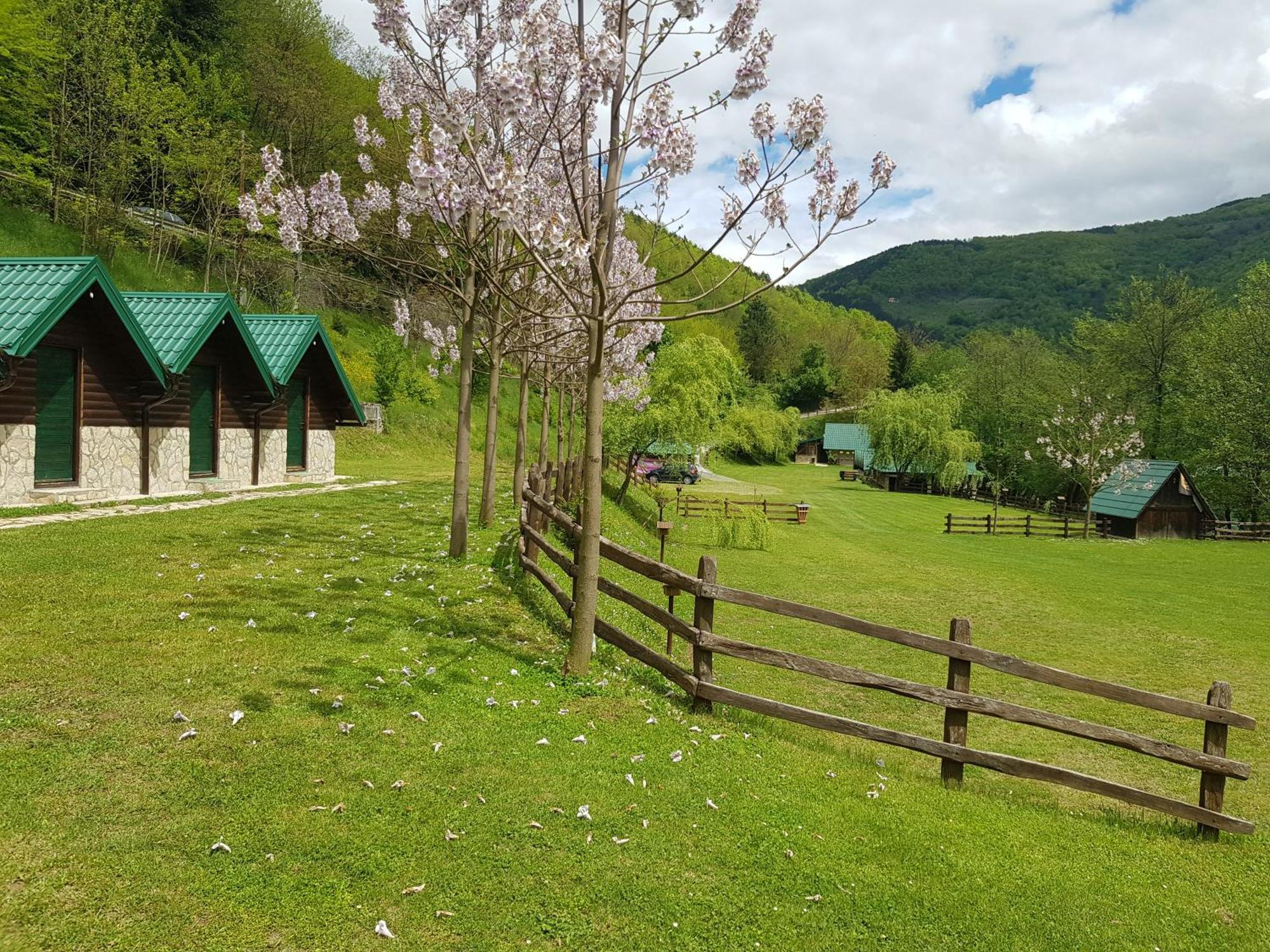 Camping Drina Foca Eksteriør bilde